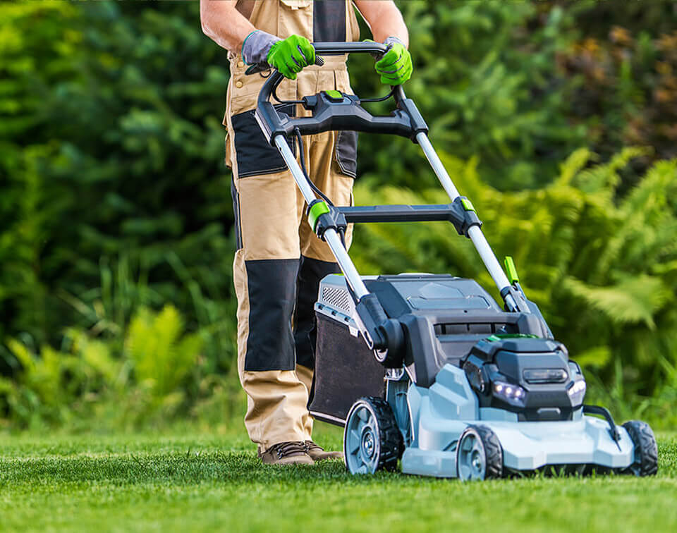 Tree Removal Services